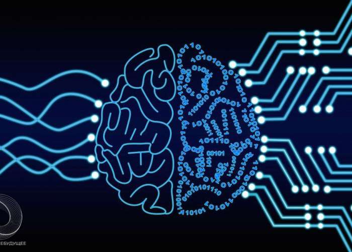 «Основы нейротехнологий» в ЦДОД «Лахта-полис»